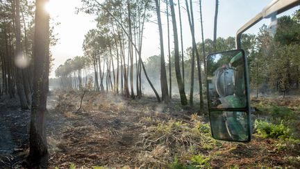 Depuis le début de l'incendie, plus de 13 000 hectares sont partis en fumée&nbsp;dans le secteur de Landiras, le 18 juillet 2022. (IDHIR BAHA / HANS LUCAS)