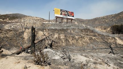 L'incendie "Blue Cut Fire" a détruit plus&nbsp;7 000 hectares, et fait évacuer plus de 80 000 personnes en 2016, en Californie.&nbsp; (JOSH EDELSON / AFP)