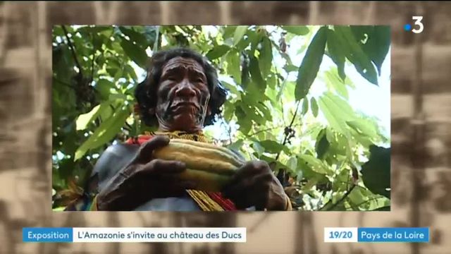 Expo Amazonie au château des Ducs de Bretagne à Nantes