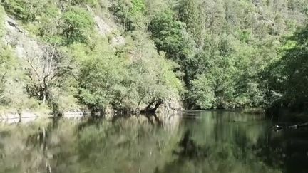 Impressions d’ailleurs : quand l’Auvergne prend des airs l’Amazonie