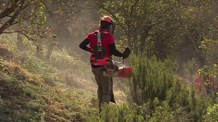 Face à un été qui s'annonce à très haut risque en matière de feux de forêt, les pompiers de Sainte-Maxime, dans le Var, ont reçu du nouveau matériel. Dans les forêts, l'heure est déjà au débroussaillage pour créer des coupe-feux. (FRANCE 2)