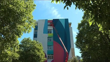 La fresque de Zest occupe une façade du CHU de Montpellier (C. Monteil / France Télévisions)