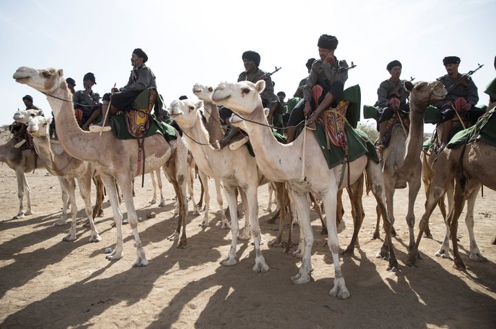 Les méharistes de la Garde nationale mauritanienne&nbsp; (THOMAS SAMSON / AFP)