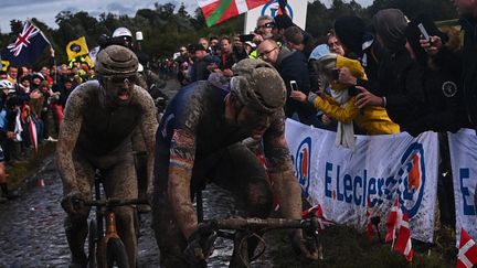 Mathieu Van der Poel et Sonny Colbrelli, dans&nbsp;un Paris-Roubaix d'anthologie. (ANNE-CHRISTINE POUJOULAT / AFP)