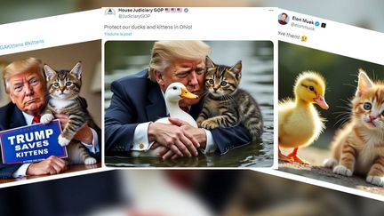 Présidentielle américaine : la folle rumeur des migrants haïtiens "tueurs de chatons" relayée par Donald Trump