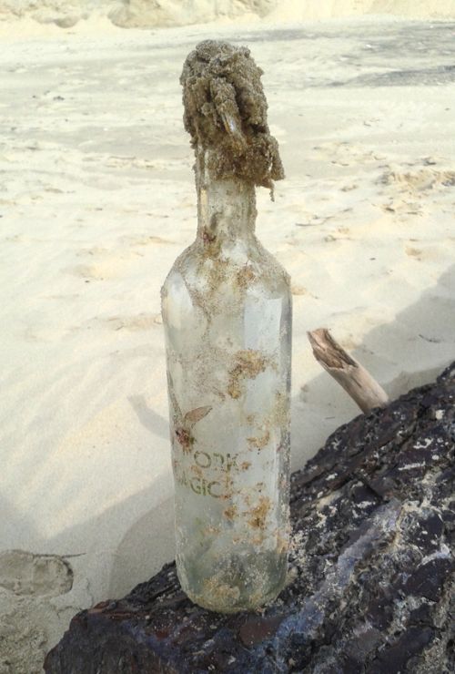 Alain et Brigitte Barthélémy ont retrouvé cette bouteille en provenance de New York sur une plage de La Tremblade, en Charente-Maritime. (DR)