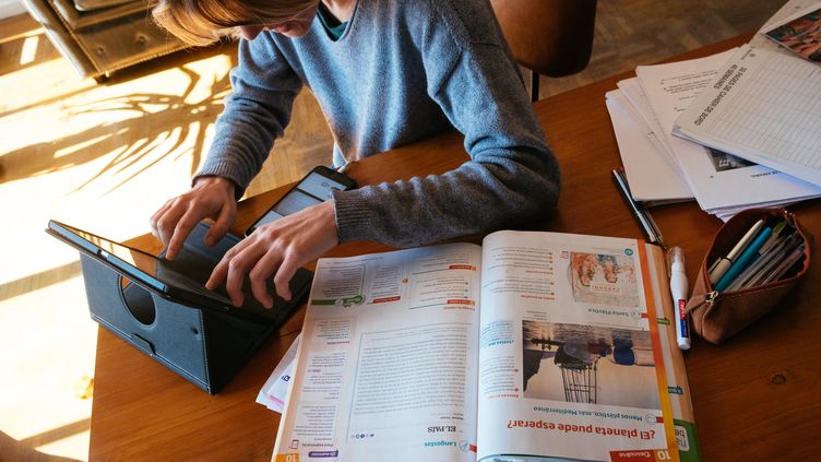 Among teachers who train on their own, 60% do so "on the Internet and social networks".  Illustrative photo.  (MARIE MAGNIN / HANS LUCAS / VIA AFP)