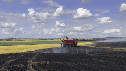 Marne : les agriculteurs font face à de nombreux feux de moissons (FRANCE 3)