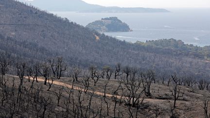 Incendies : le jour d'après