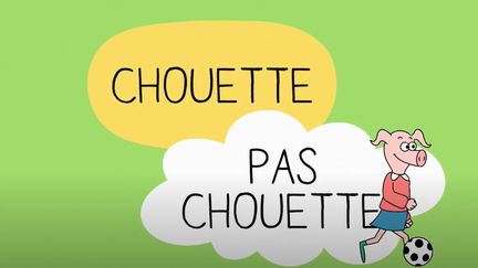 "Série pour les 4-6 ans "Chouette, pas chouette". En 16 épisodes. (CAPTURE D'ECRAN YOUTUBE)