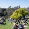 Une foule réunie dans le parc des Buttes-Chaumont, à Paris, le 30 mars 2021. (SANDRINE MARTY / HANS LUCAS / AFP)