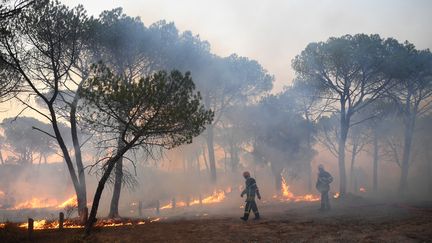 Des pompiers marchent dans une forêt pendant un incendie de forêt, près de Gonfaron&nbsp;(Var), le 17 août 2021. Photo d'illustration. (NICOLAS TUCAT / AFP)