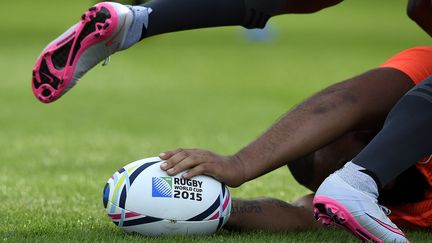 Le Mondial de rugby se d&eacute;roule&nbsp;en Angleterre du 18 septembre au 31 octobre.&nbsp; (FRANCK FIFE / AFP)