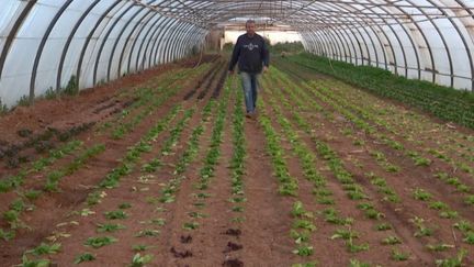 Agriculture : le Var à la reconquête des terres cultivables