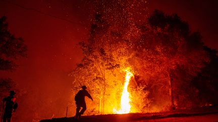 Des pompiers se battent contre un incendie, à Redding (Californie), le 27 juillet 2018. (JOSH EDELSON / AFP)