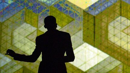 La silhouette de Stromae sur la scène des Trans Musicales de Rennes 2013
 (DAMIEN MEYER / AFP)