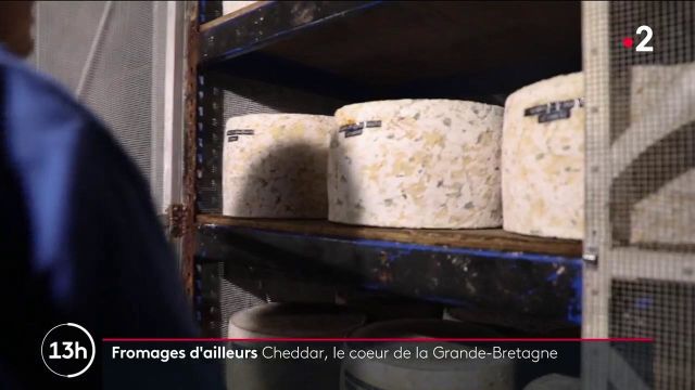 Gastronomy: Cedar, the discovery of a real English cheese