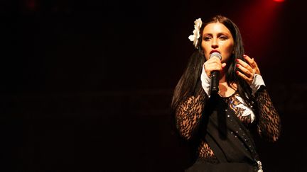 La comédienne et chanteuse Rona Hartner à Orléans en juin 2009. (ROMAIN GAUTIER / HANS LUCAS / AFP)