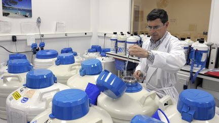 Un médecin dans le centre d'étude et de conservation des œufs et du sperme, à Lyon (Rhône), en mars 2010.&nbsp; (PHILIPPE DESMAZES / AFP)