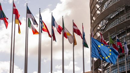 Des drapeaux flottent devant le Parlement européen de Strasbourg, en avril 2024. (TOBIAS CANALES / HANS LUCAS / AFP)