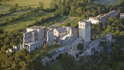 L'Abbaye de Montmajour en Arles.
 (Gérard Labriet / Photononstop)