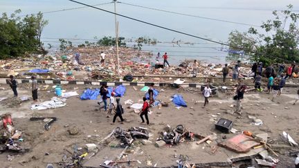 Des corps sont recouverts de couvertures bleues, au lendemain du séisme et du tsunami qui ont frappé l'île de Célèbes.&nbsp; (OLA GONDRONK / AFP)