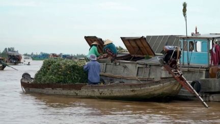 Tourisme : au Vietnam, acheteurs et vendeurs se déplacent en barques au marché flottant de Long Xuyên