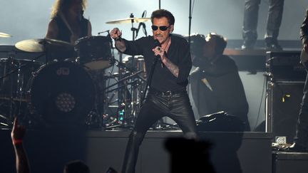 Johnny Hallyday en concert à Bruxelles (Belgique), le 26 mars 2016. (PATRIK STOLLARZ / AFP)