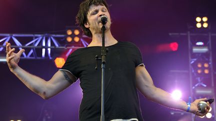 Bertrand Cantat, le 29 juin 2012 au festival des Eurock&eacute;ennes de Belfort (Territoire de Belfort).&nbsp; (SEBASTIEN BOZON / AFP)