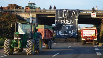 Des agriculteurs bloquent la RN11 à proximité de La Rochelle (Charente-Maritime) le 25 janvier 2016. (FABRICE RESTIER / AFP)