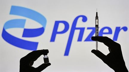 6media Vrai ou Fake SUJET PFIZERGATE LOUIS V2