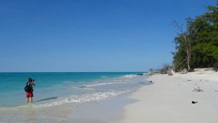 Rivage de l'île de Juan de Nova. (AFP)