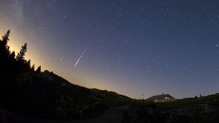 Une météore passe dans le ciel du Mont Tendre, dans le Jura suisse, le 12 août 2009. (DENIS BALIBOUSE / REUTERS)