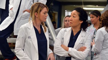 Extrait de l'épisode 13 de la saison 10 de "Grey's Anatomy", diffusé le 4 juin 2015. (AMERICAN BROADCASTING COMPANIES )