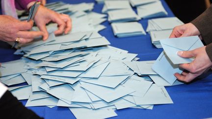 Les Fran&ccedil;ais de l'&eacute;tranger et la Polyn&eacute;sie ont vot&eacute; les 2 et 3 juin 2012 pour le premier tour des &eacute;lections l&eacute;gislatives. (PHILIPPE HUGUEN / AFP)