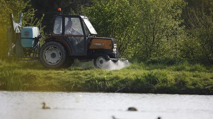 &nbsp; (93% des prélèvements montraient une présence des pesticides bien au-dessus des normes © MaxPPP)