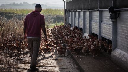 Colère des agriculteurs : les cagnottes en ligne, un soutien parfois 