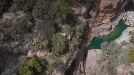 Randonnées dans les Wadis d'Oman : des spectaculaires paysages d'oasis dans le désert