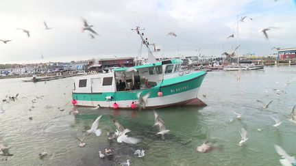 Pêcheurs et "no-deal"