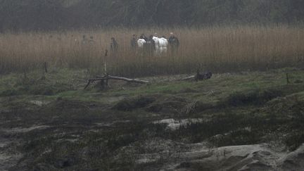 Des policiers inspectent la ferme&nbsp;d'Hubert Caouissin, principal suspect du quadrule meurtre de la famille Troadec, mercredi 8 mars 2017 à&nbsp;Pont-de-Buis-lès-Quimerch (Finistère). (FRED TANNEAU / AFP)