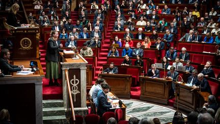 Une discussion à l'Assemblée nationale, du projet de loi sur l'immigration de Gérald Darmanin, le 19 décembre 2023 à Paris. (XOSE BOUZAS / HANS LUCAS / AFP)