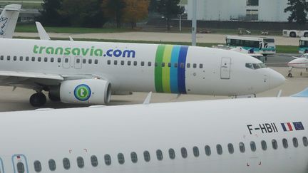 &nbsp; (La flotte Transavia pourrait être élargie à 40 avions, contre 14 actuellement © MAXPPP)