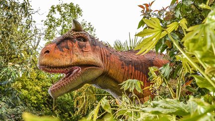 &nbsp; (Image d'exposition dans un zoo à Chester en Grande-Bretagne, mai 2016 © Chester Zoo/Shutterstoc/SIPA)