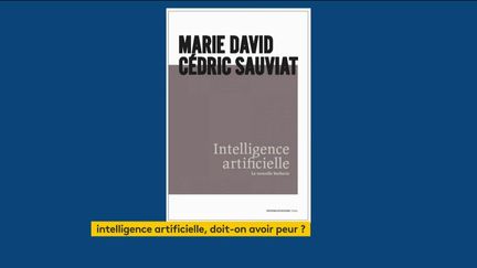 Le livre de Marie David et Cédric Sauviat (FRANCEINFO)