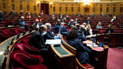 Vue de l'hémicycle lors de la séance publique de questions d'actualité au gouvernement, au Sénat, à Paris, le 16 juillet 2020. (XOS BOUZAS / HANS LUCAS / AFP)