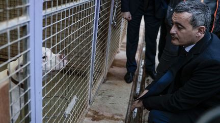 Le ministre de l'Intérieur Gérald Darmanin, le 27 janvier 2023, lors de sa visite à la SPA de Chamande (Essonne). (GEOFFROY VAN DER HASSELT / AFP)