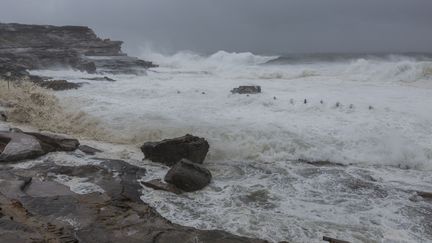 La plage de Maroubra, pr&egrave;s de Sydney (Australie), mardi 21 avril 2015.&nbsp; (CITIZENSIDE/JEFF TAN / CITIZENSIDE.COM / AFP)