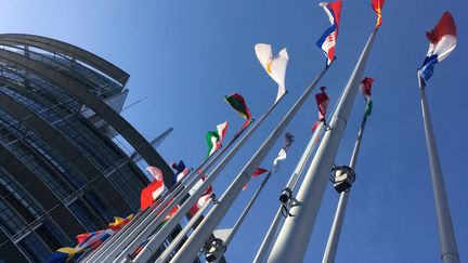 Le Parlement européen, à Strasbourg. (NOÉMIE BONNIN / FRANCE-INFO)