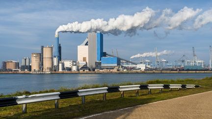 Une centrale à charbon, aux Pays-Bas, le 18 octobre 2019. (LEX VAN LIESHOUT FOTOGRAFIE / ANP MAG / AFP)