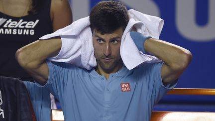 Le joueur serbe Novak Djokovic (ALFREDO ESTRELLA / AFP)